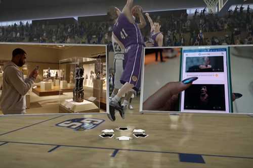 Sondra Perry, It’s in the Game ‘17 (2017)