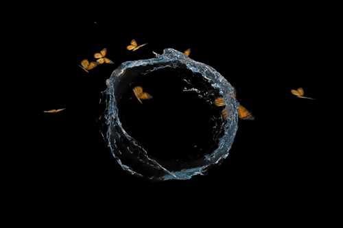 Lex Brown, stillbilde fra Finding Belief in Life Again (2020)