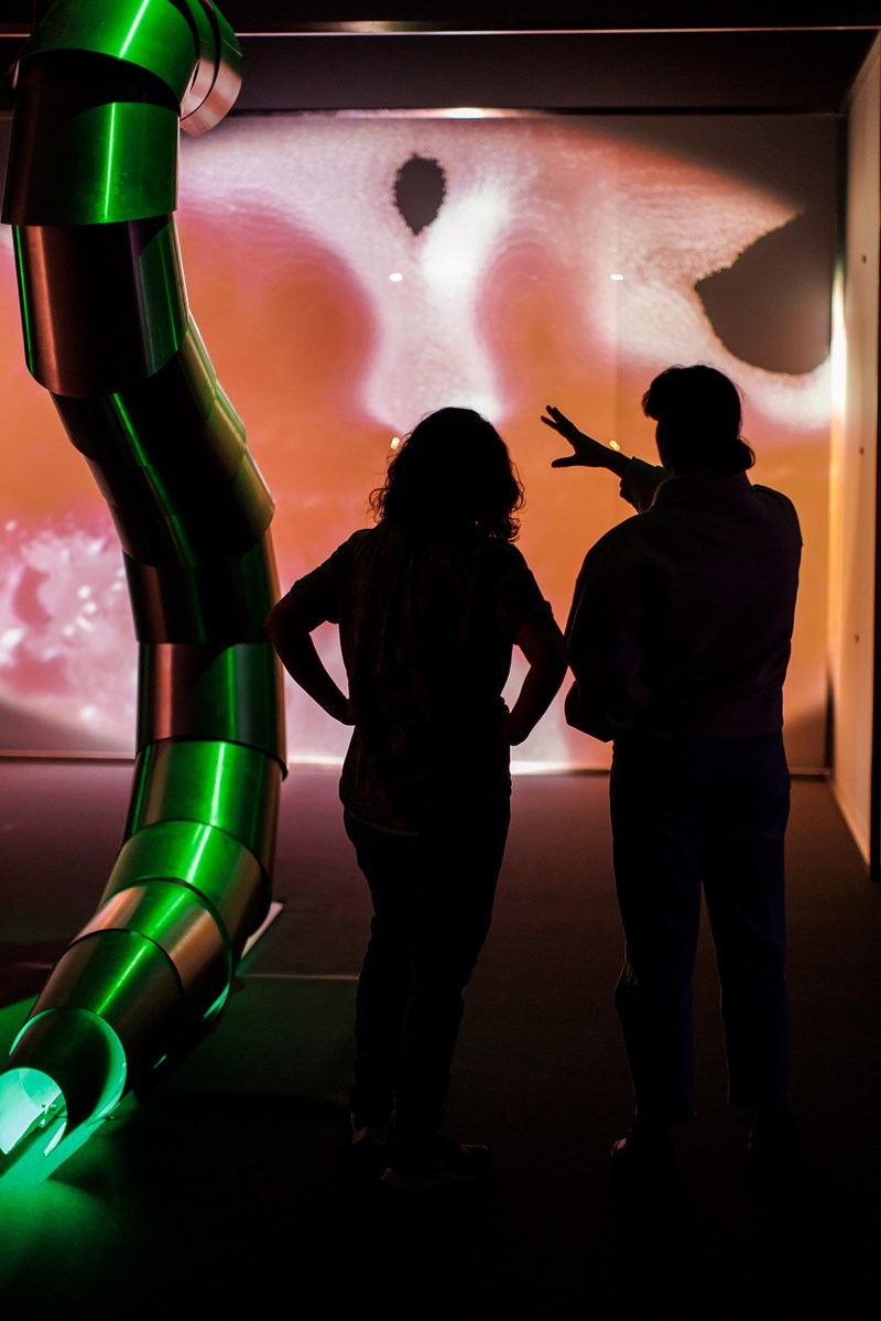 To mennesker står i en utstillingssal og ser på kunst av Sandra Mujinga. Vi ser de bakfra. Fotografi