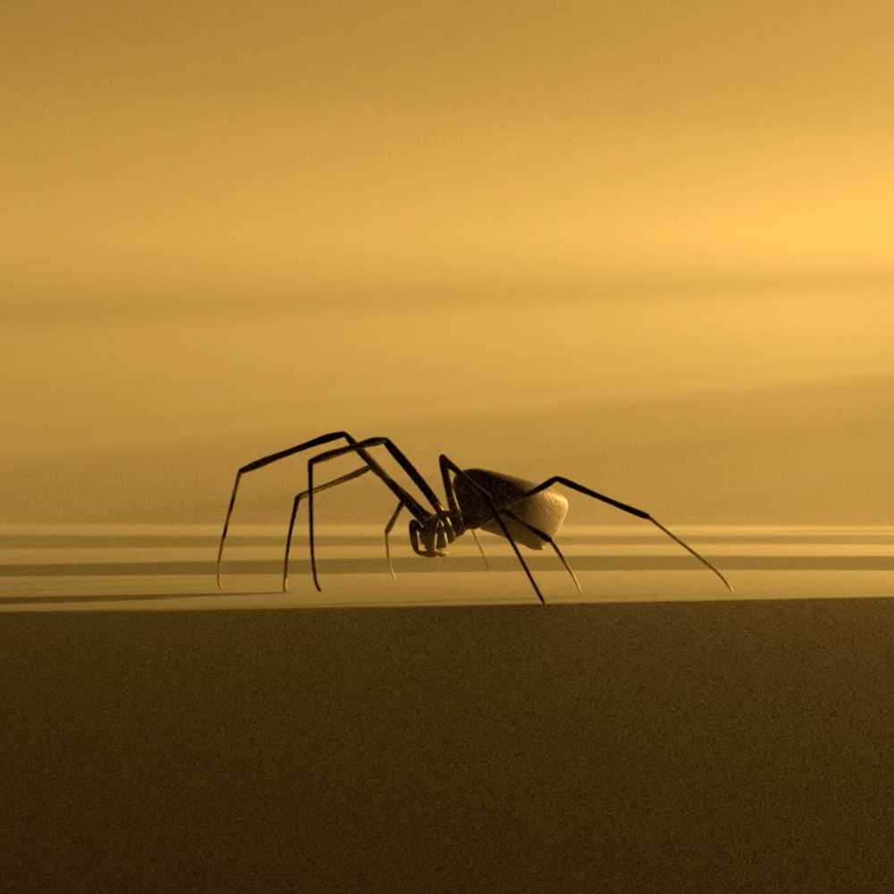 En edderkopp i metall inne i et rom der lyset kommer inn fra høyre side. Gullfarget bakgrunn. Foto