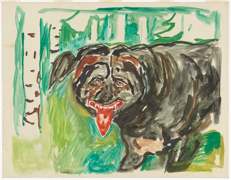 Edvard Munch: Sint hund, 1938–43. En stor mørk hund ser rett mot oss og flekker tenner mens en lang rød tunge henger ut av munnen. I bakgrunnen ser vi bjørketrær. Akvarell